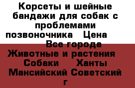 Корсеты и шейные бандажи для собак с проблемами позвоночника › Цена ­ 2 500 - Все города Животные и растения » Собаки   . Ханты-Мансийский,Советский г.
